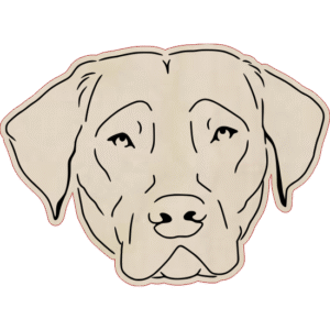 Chesapeake Bay retriever – magnes