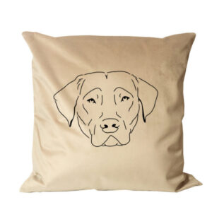 Chesapeake Bay retriever na poduszce