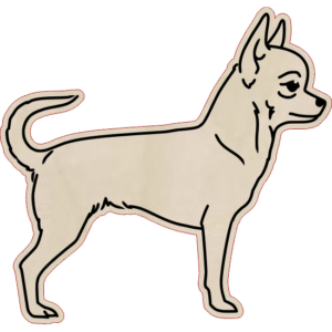 Chihuahua – magnes