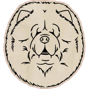 Chow chow – magnes