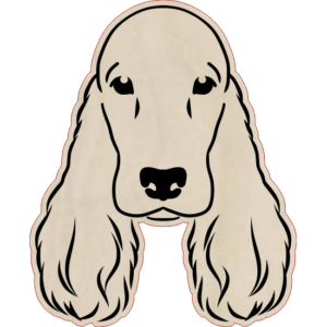 Cocker spaniel angielski – magnes