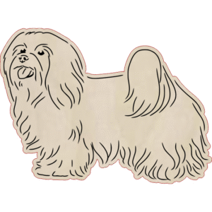 Hawańczyk – magnes