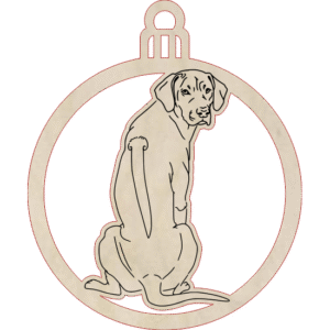 Rhodesian ridgeback – zawieszka