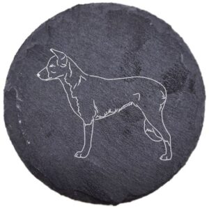 Border collie krótkowłosy – podstawka z łupka