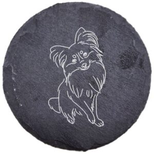 Spaniel kontynentalny miniaturowy – podstawka z łupka